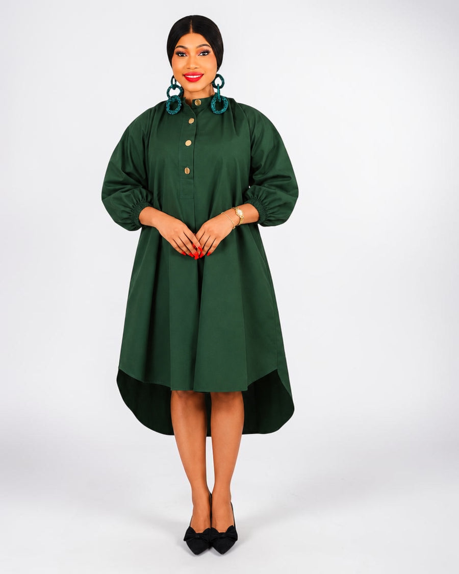 Palmer shirt dress