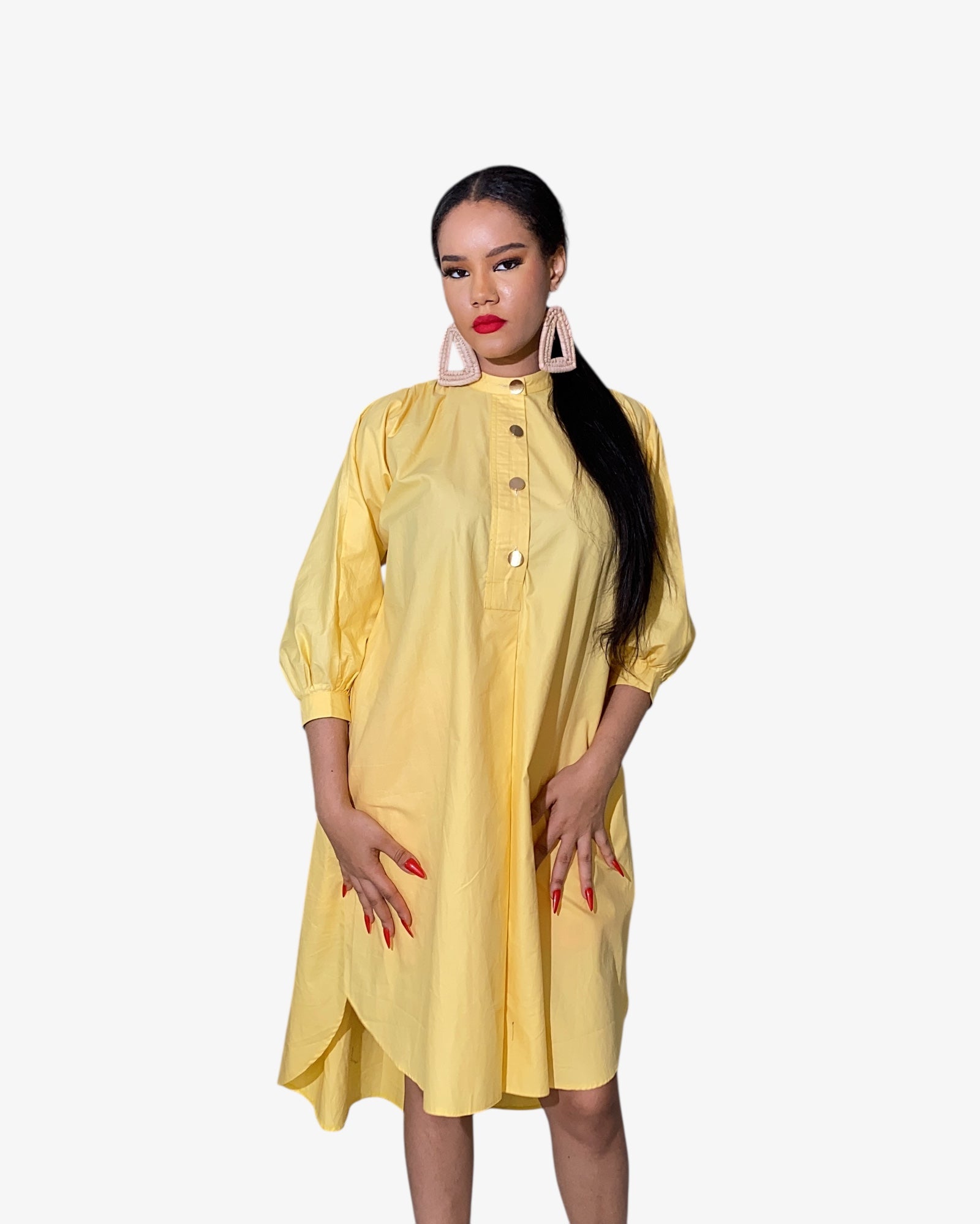 Palmer shirt dress