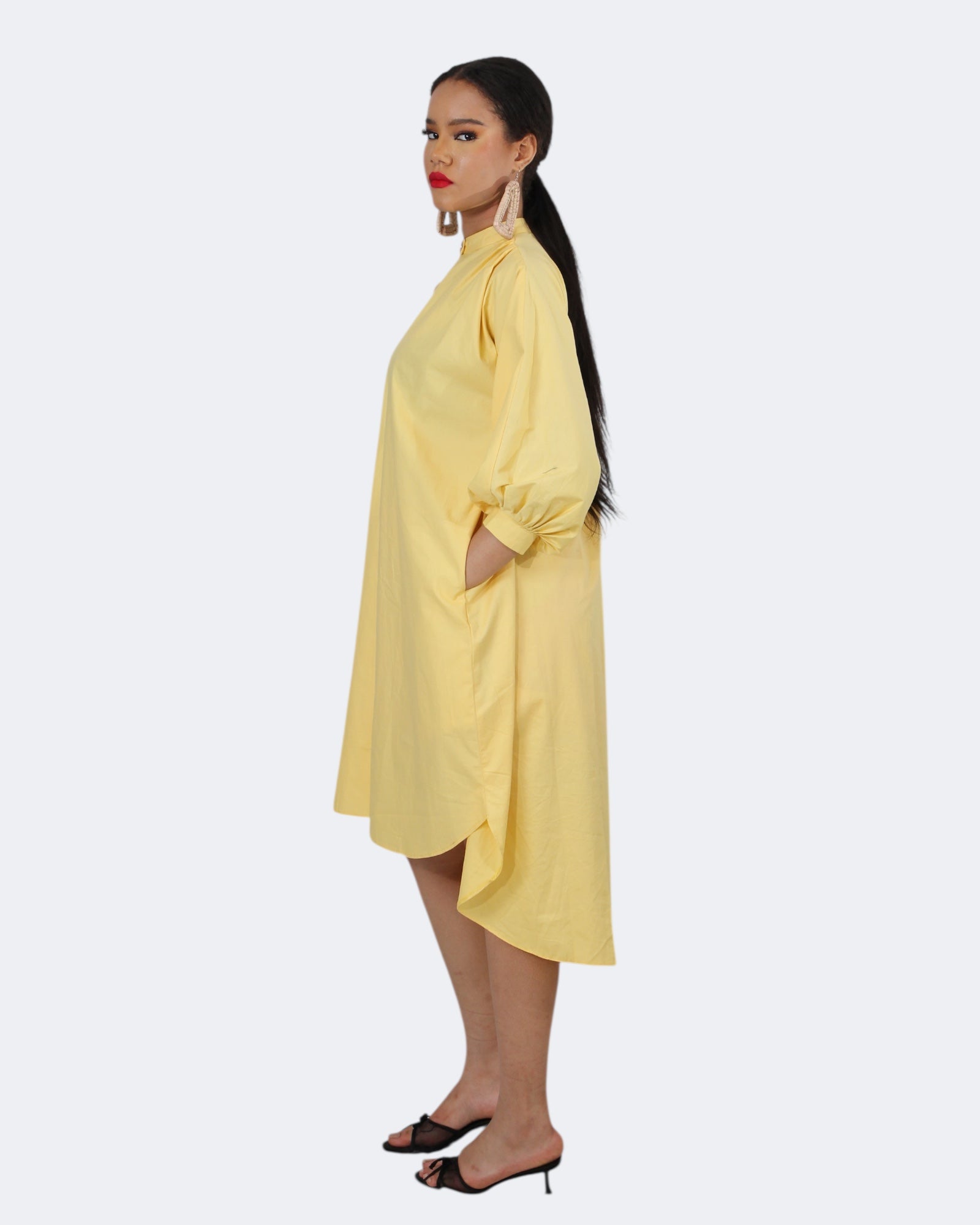 Palmer shirt dress