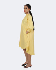 Palmer shirt dress