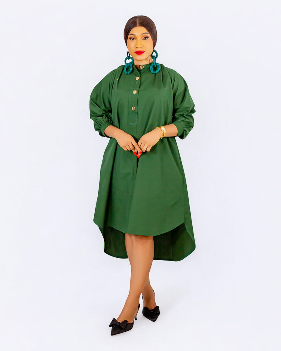 Palmer shirt dress