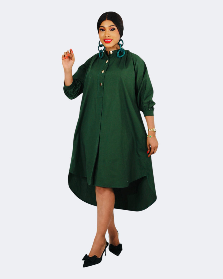 Palmer shirt dress
