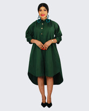 Palmer shirt dress