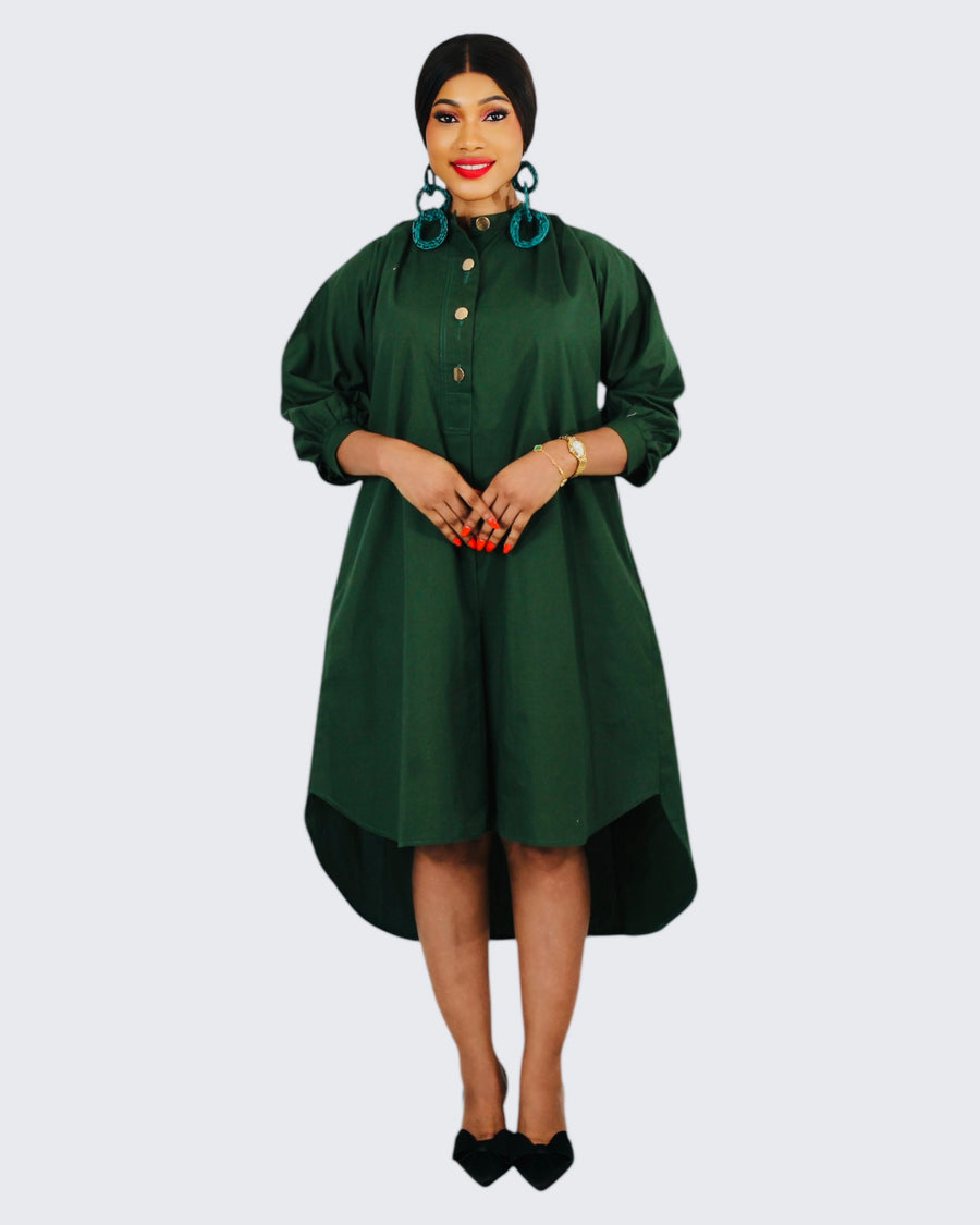 Palmer shirt dress