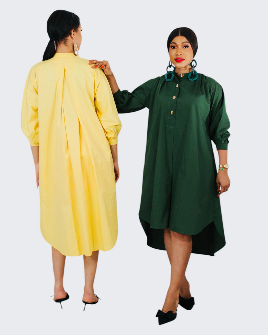 Palmer shirt dress