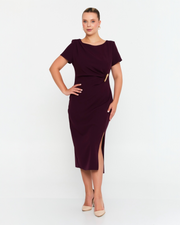 Elegant  Plum dress