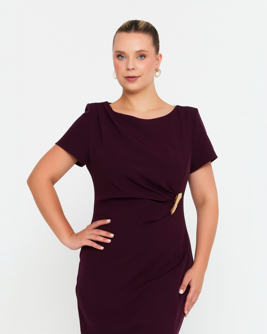 Elegant  Plum dress