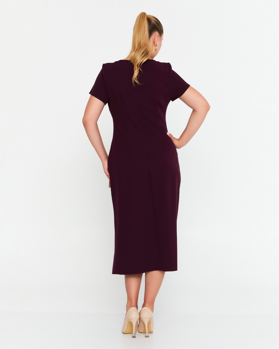 Elegant  Plum dress